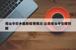 保山辛街乡最新疫情情况:云南保山辛街规划图