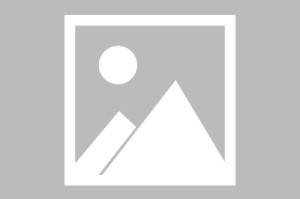 【宁波镇海最新疫情发布会,宁波镇海新冠肺炎疫情】